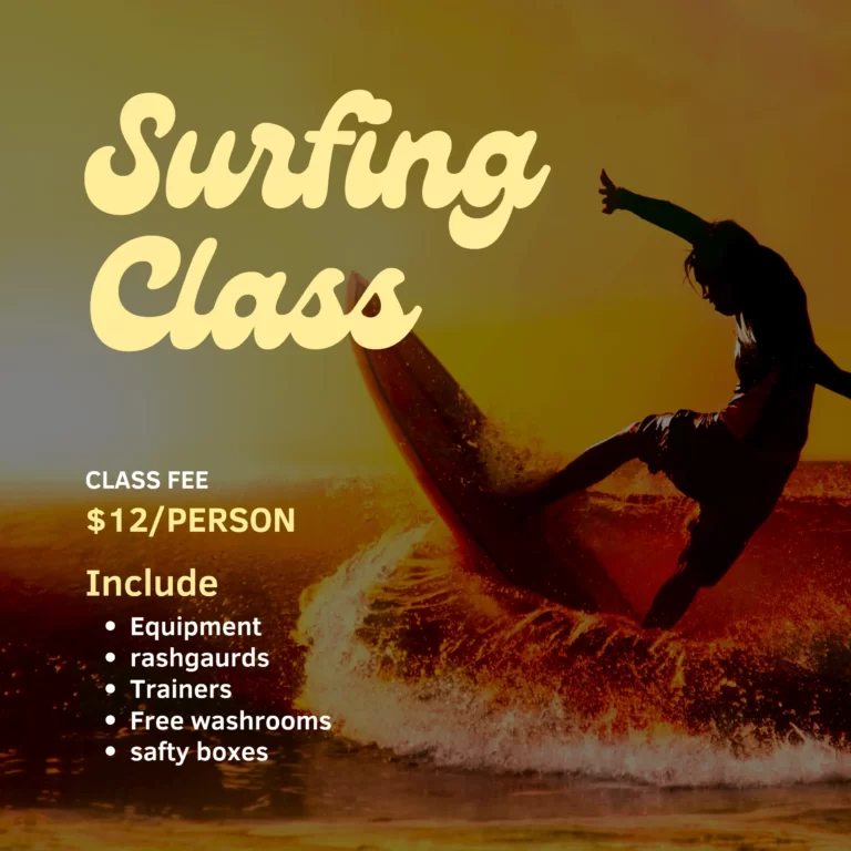 surf lessons in weligama